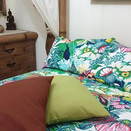 Ulivo *
