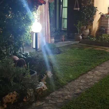 Ulivo *